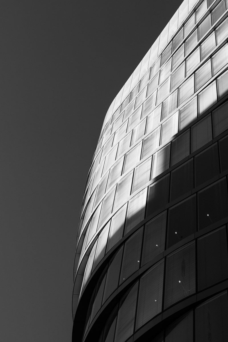 Mentorship Image